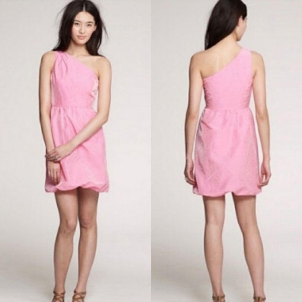 J. Crew Bridget Dress